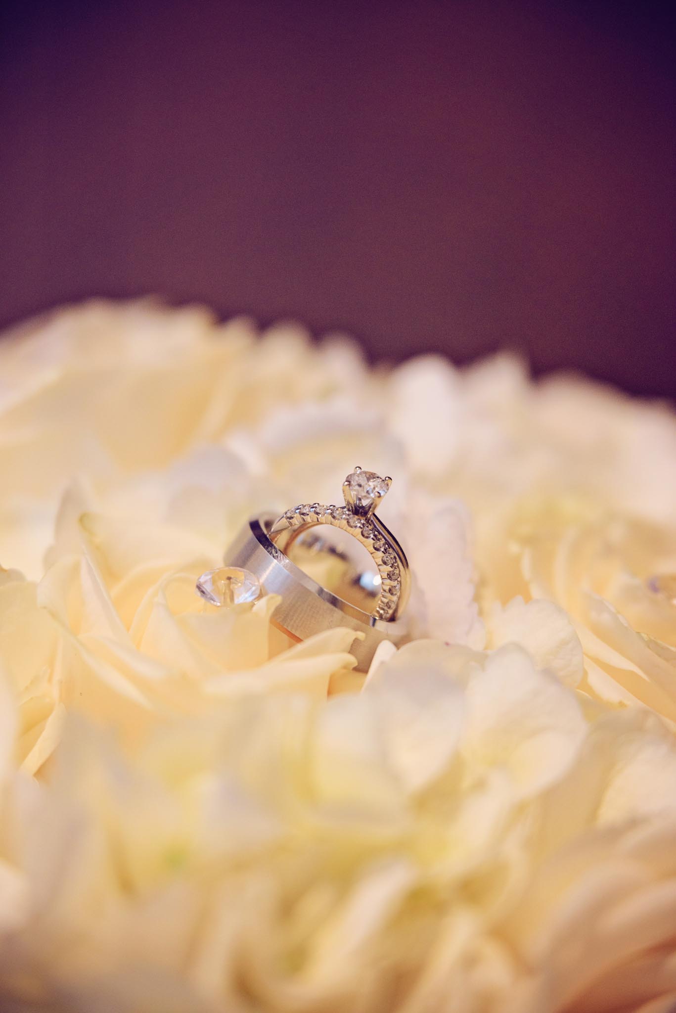 Peter-Bendevis-Waterfront-Centre-Rob-Haidy2